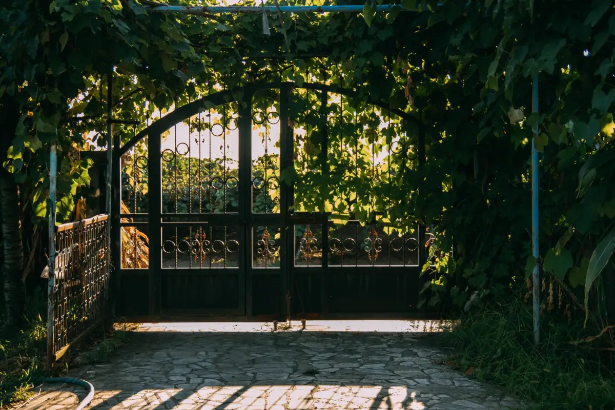 Double iron swing gate closed beneath a vine-covered arbor at the end of a stone path
